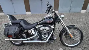 Harley-Davidson 1584 Custom (2007) - FXSTC  (2)