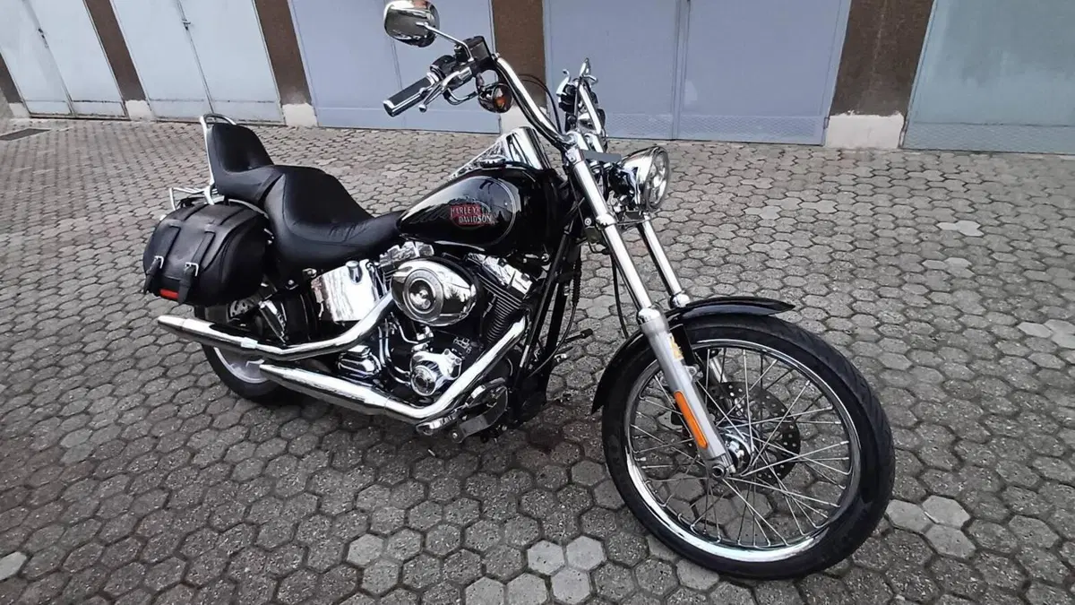 Harley-Davidson 1584 Custom (2007) - FXSTC  (3)
