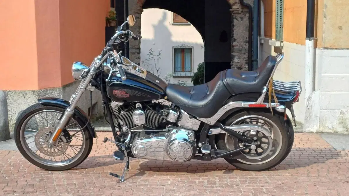 Harley-Davidson 1584 Custom (2007) - FXSTC  (4)