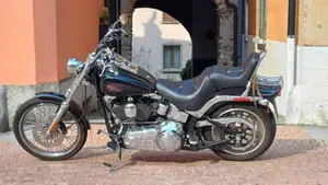 Harley-Davidson 1584 Custom (2007) - FXSTC  (4)