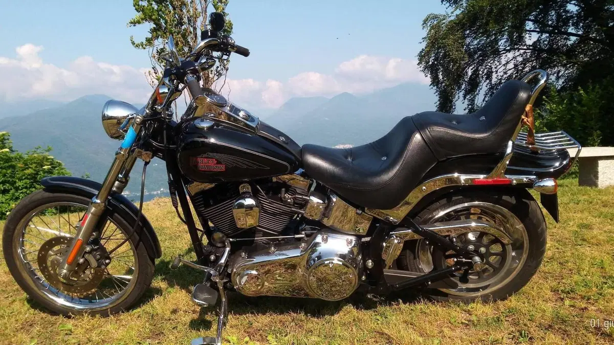Harley-Davidson 1584 Custom (2007) - FXSTC  (5)