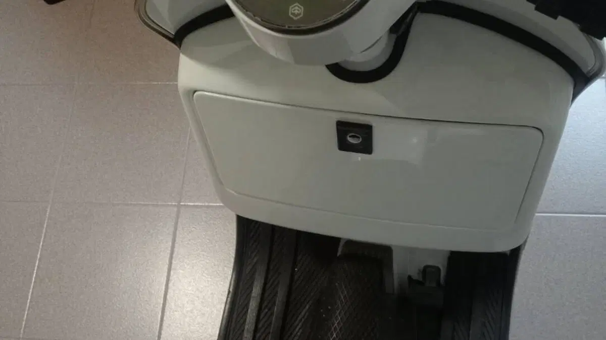 Piaggio   (2)