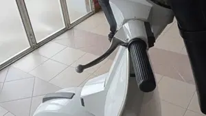 Piaggio   (13)