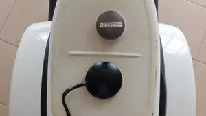 Piaggio   (17)