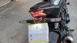 Kawasaki Z 900 (2021 - 24)  (2)