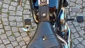 Harley-Davidson 1584 Custom (2007) - FXSTC  (6)