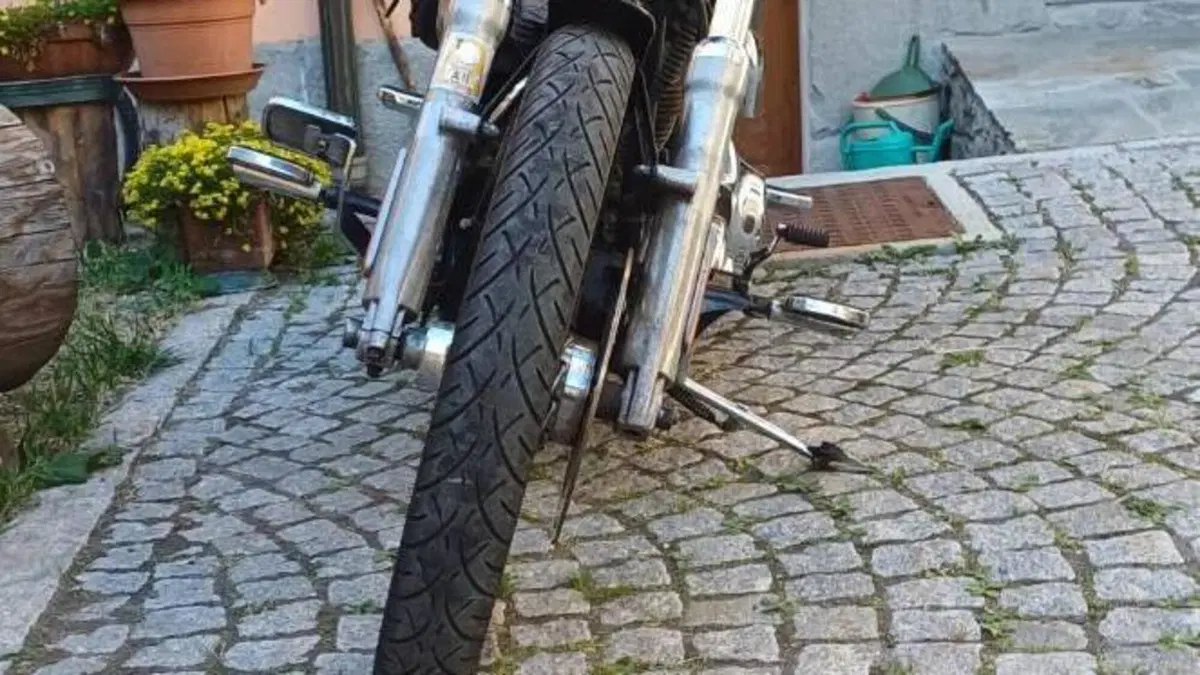 Harley-Davidson 1584 Custom (2007) - FXSTC  (7)