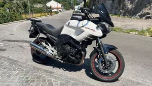 Yamaha TDM 900 (2002 - 14)  (3)