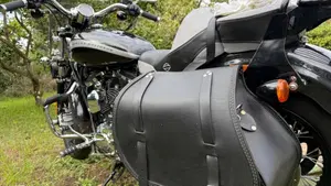 Harley-Davidson 1200 Custom (2018 - 20) - XL1200C 