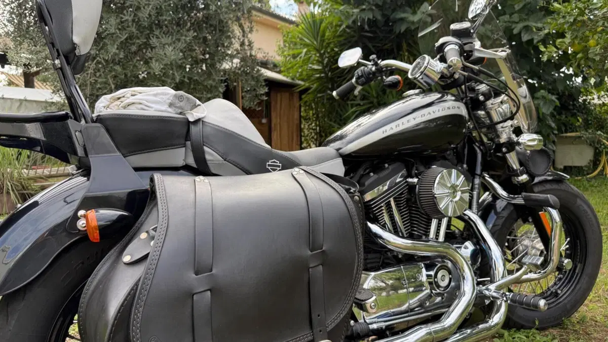 Harley-Davidson 1200 Custom (2018 - 20) - XL1200C  (2)