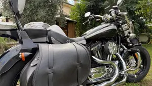 Harley-Davidson 1200 Custom (2018 - 20) - XL1200C  (2)