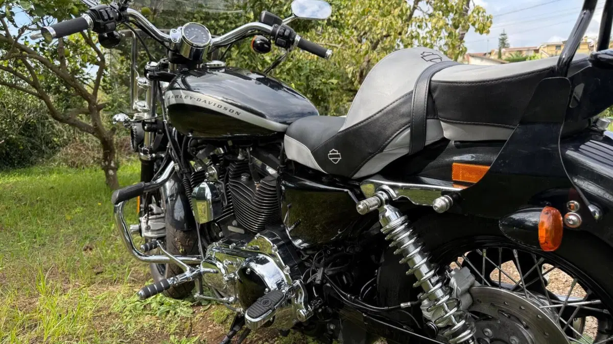 Harley-Davidson 1200 Custom (2018 - 20) - XL1200C  (3)