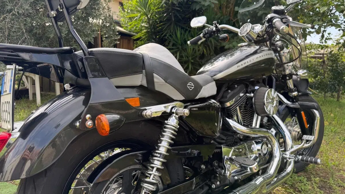 Harley-Davidson 1200 Custom (2018 - 20) - XL1200C  (4)