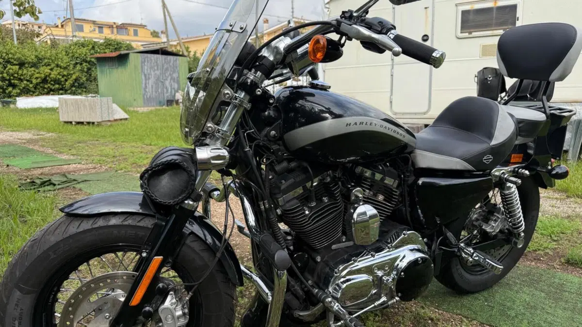 Harley-Davidson 1200 Custom (2018 - 20) - XL1200C  (5)