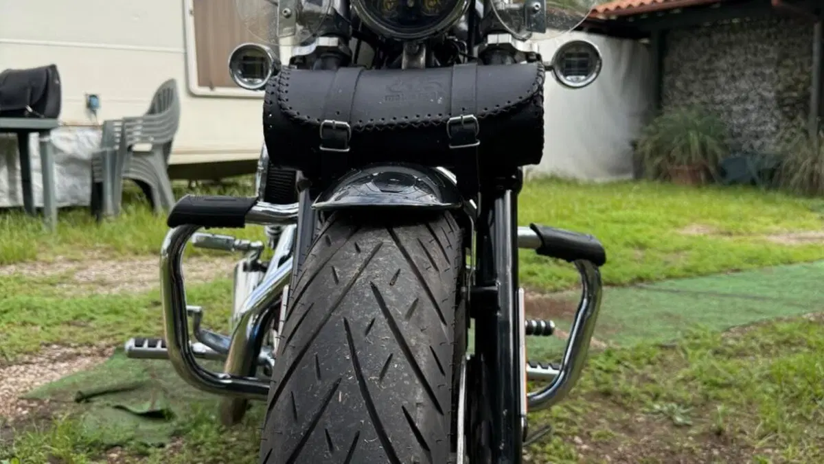 Harley-Davidson 1200 Custom (2018 - 20) - XL1200C  (6)