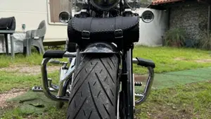 Harley-Davidson 1200 Custom (2018 - 20) - XL1200C  (6)