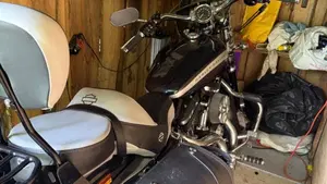 Harley-Davidson 1200 Custom (2018 - 20) - XL1200C  (7)