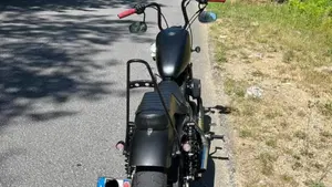 Harley-Davidson 883 Iron (2014 - 16) - XL 883N  (2)
