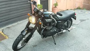 Triumph Bonneville T100 (2008 - 16)  (2)