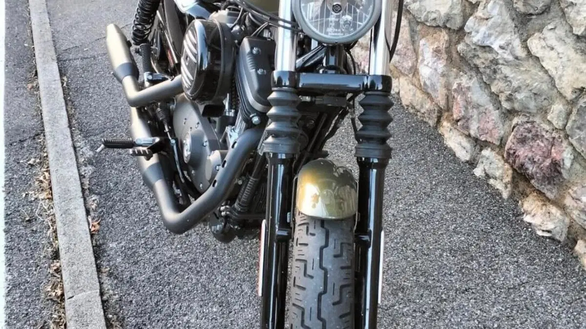 Harley-Davidson 883 Iron (2017 - 20) - XL 883N  (4)