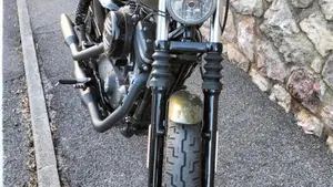 Harley-Davidson 883 Iron (2017 - 20) - XL 883N  (4)