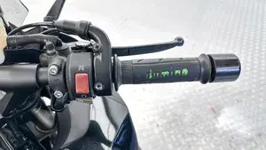 Kawasaki Z 1000 SX (2017 - 20)  (7)