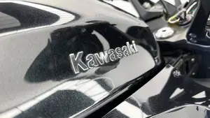 Kawasaki Z 1000 SX (2017 - 20)  (9)