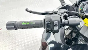 Kawasaki Z 1000 SX (2017 - 20)  (11)