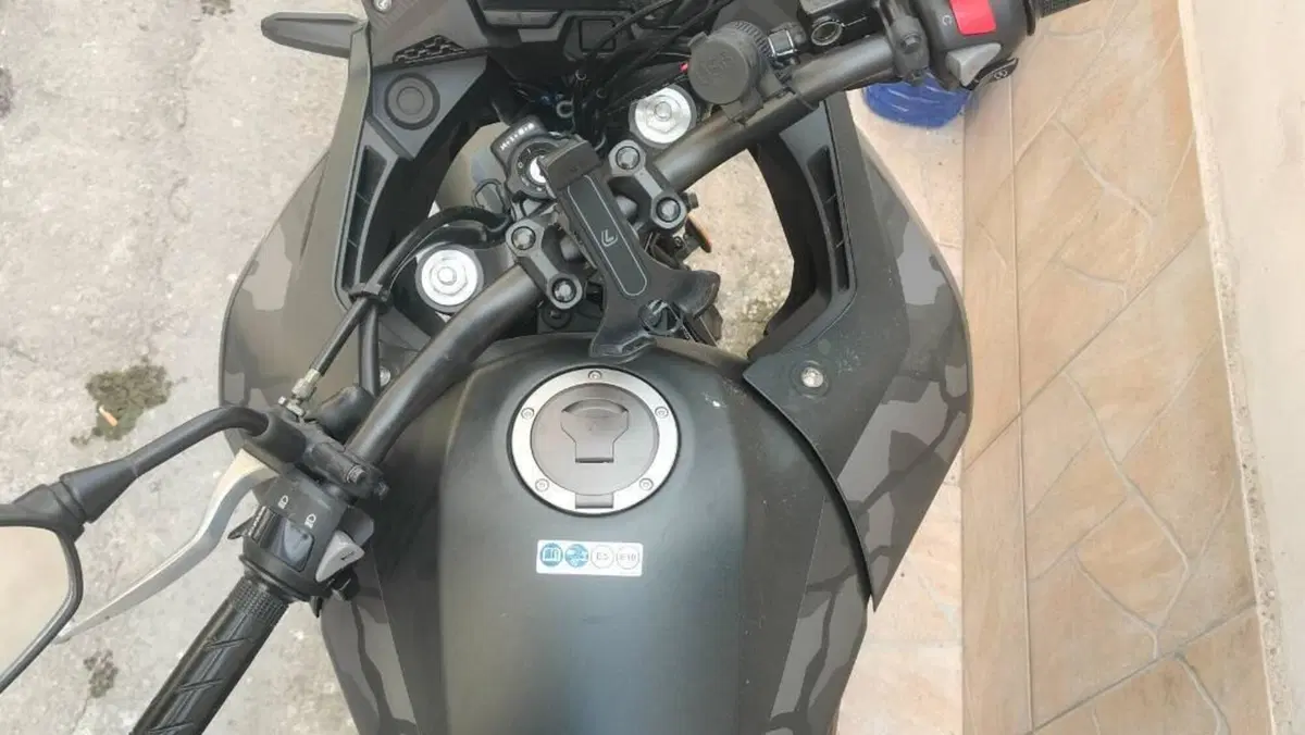 Honda CB 500 X (2019 - 20)  (4)