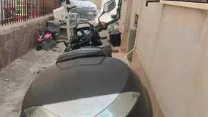 Honda CB 500 X (2019 - 20)  (8)