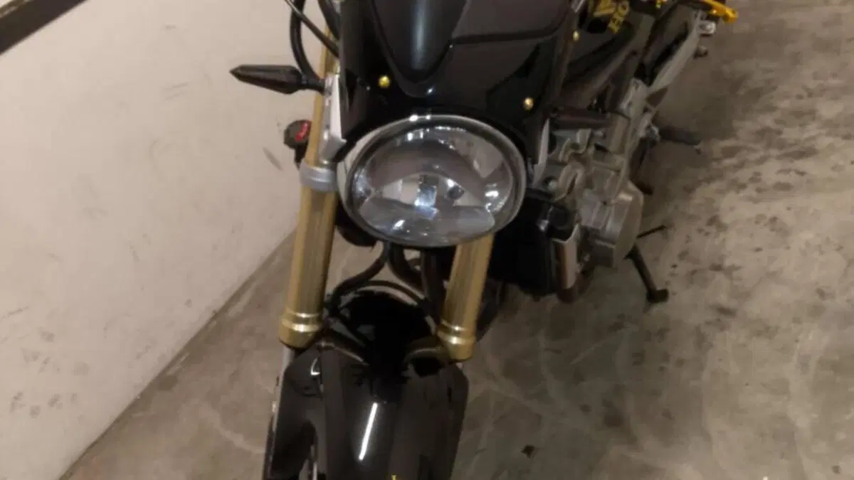 Honda Hornet 600 (2005 - 06)  (4)
