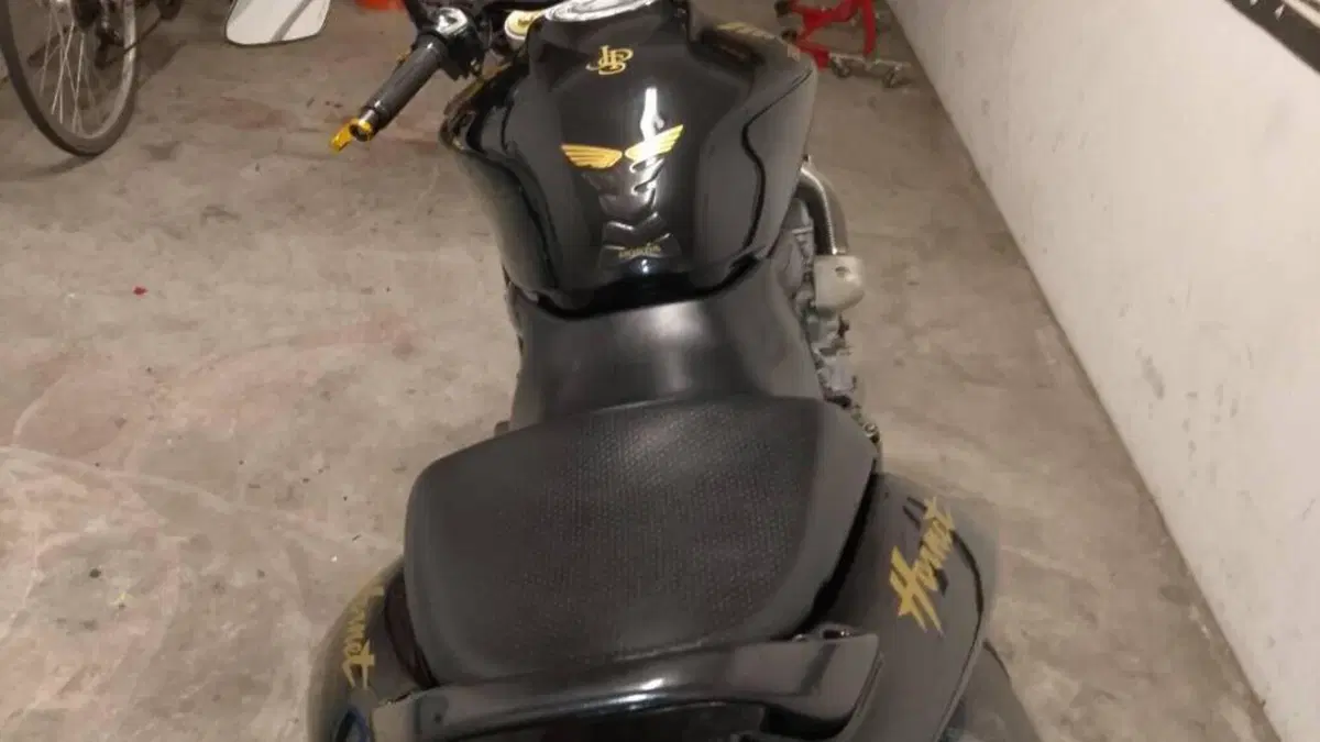 Honda Hornet 600 (2005 - 06)  (7)