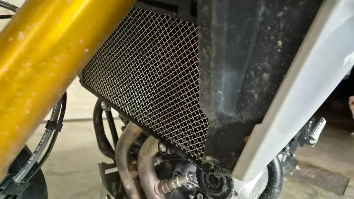 Bmw F 450 R (2027)  (3)