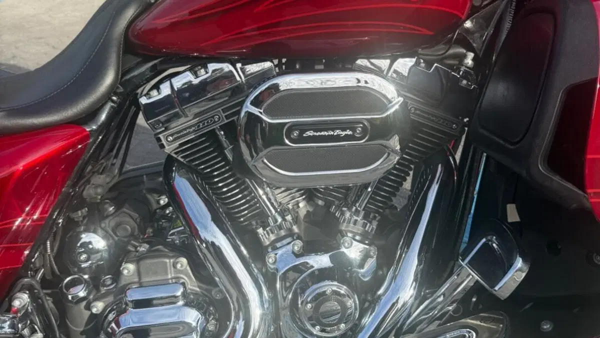 Harley-Davidson 110 Street Glide (2016) - FLHXSE  (4)