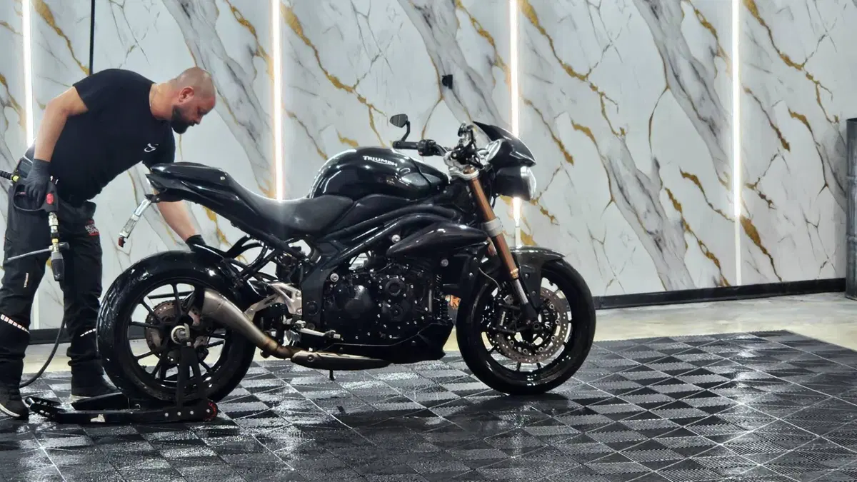 Triumph Speed Triple 1050 (2011 - 13)  (2)