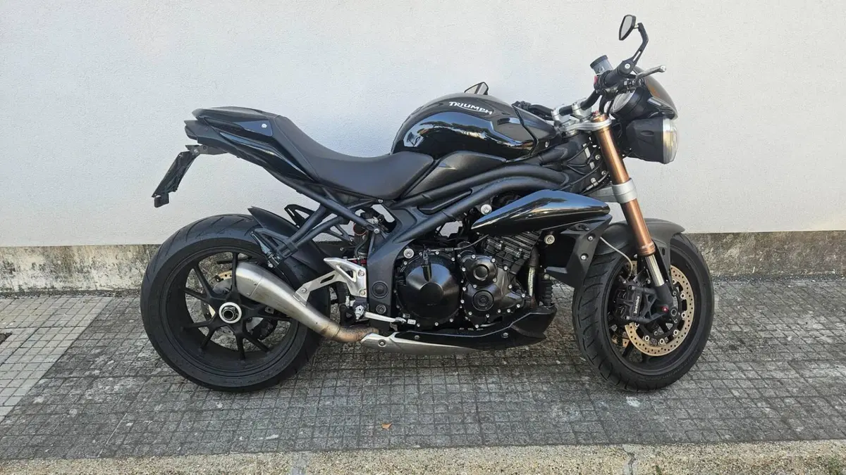 Triumph Speed Triple 1050 (2011 - 13)  (7)