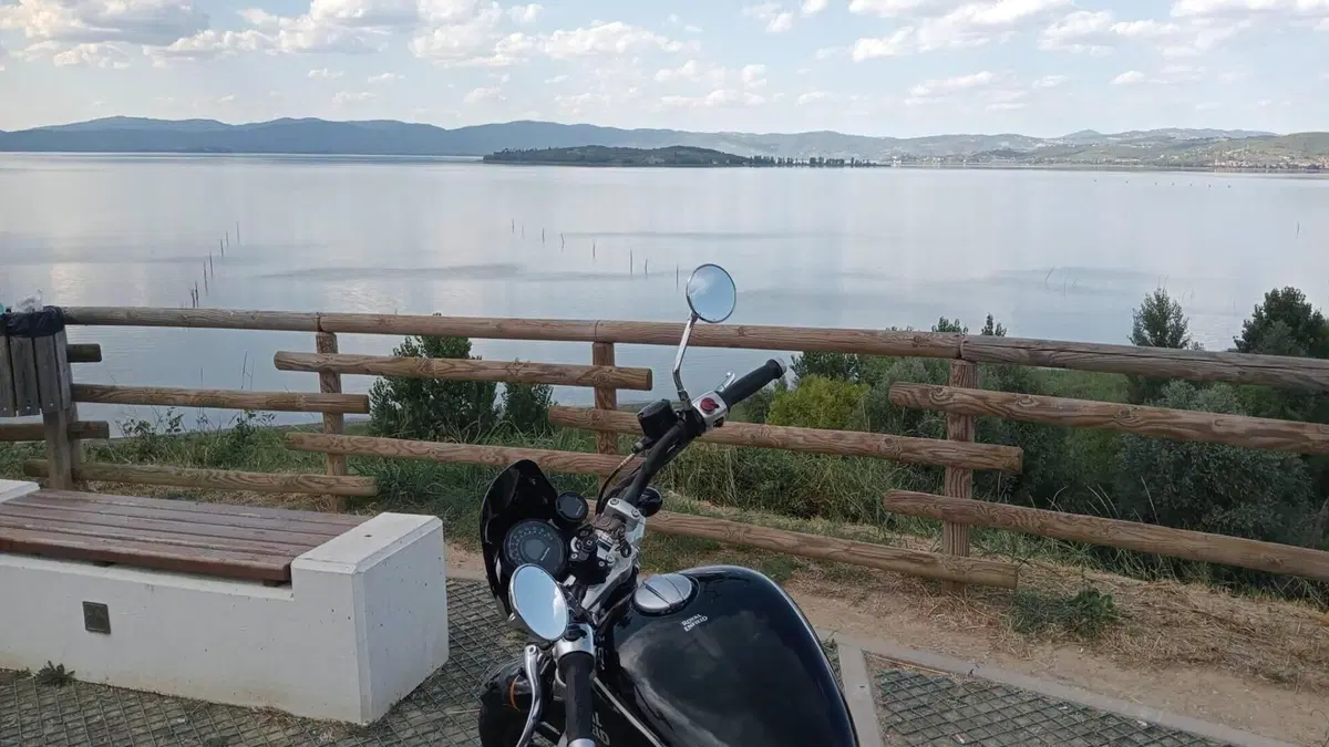 Royal Enfield Super Meteor 650 (2023 - 26)  (9)