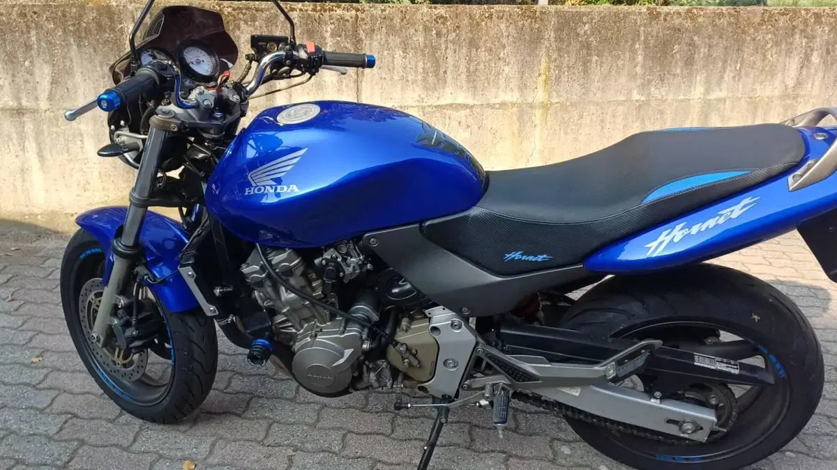 Honda Hornet 600 (2000 - 02)  (2)