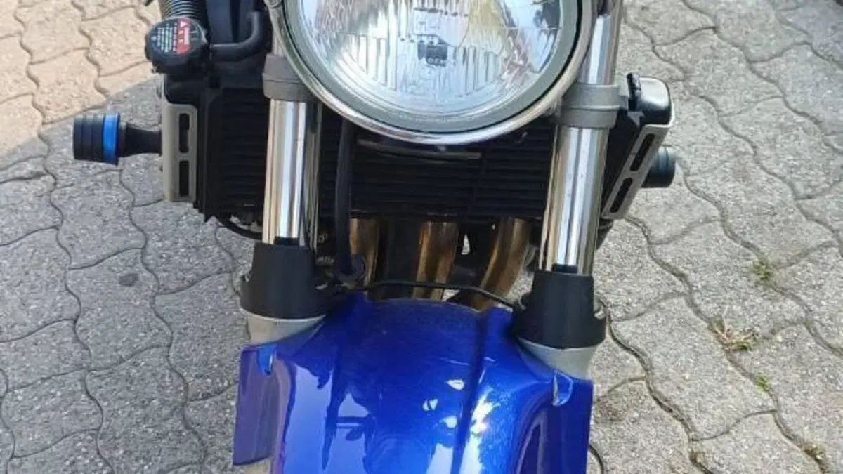 Honda Hornet 600 (2000 - 02)  (3)