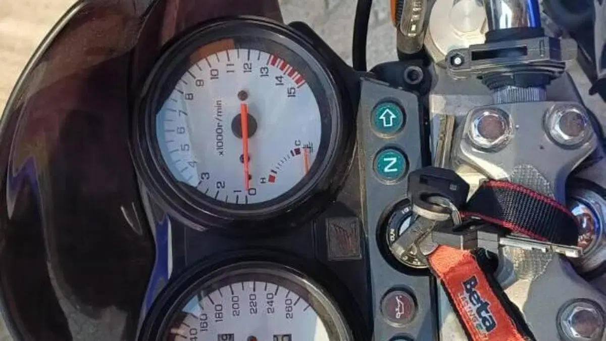 Honda Hornet 600 (2000 - 02)  (4)