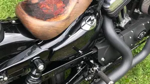 Harley-Davidson 1200 Forty-Eight (2010 - 15)  (4)