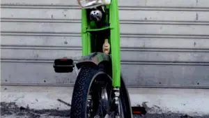 Motobecane   (6)
