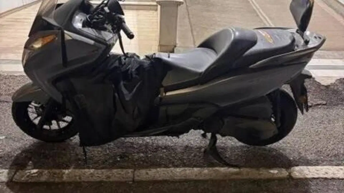 Honda Forza 300 ABS (2013 - 17)  (2)