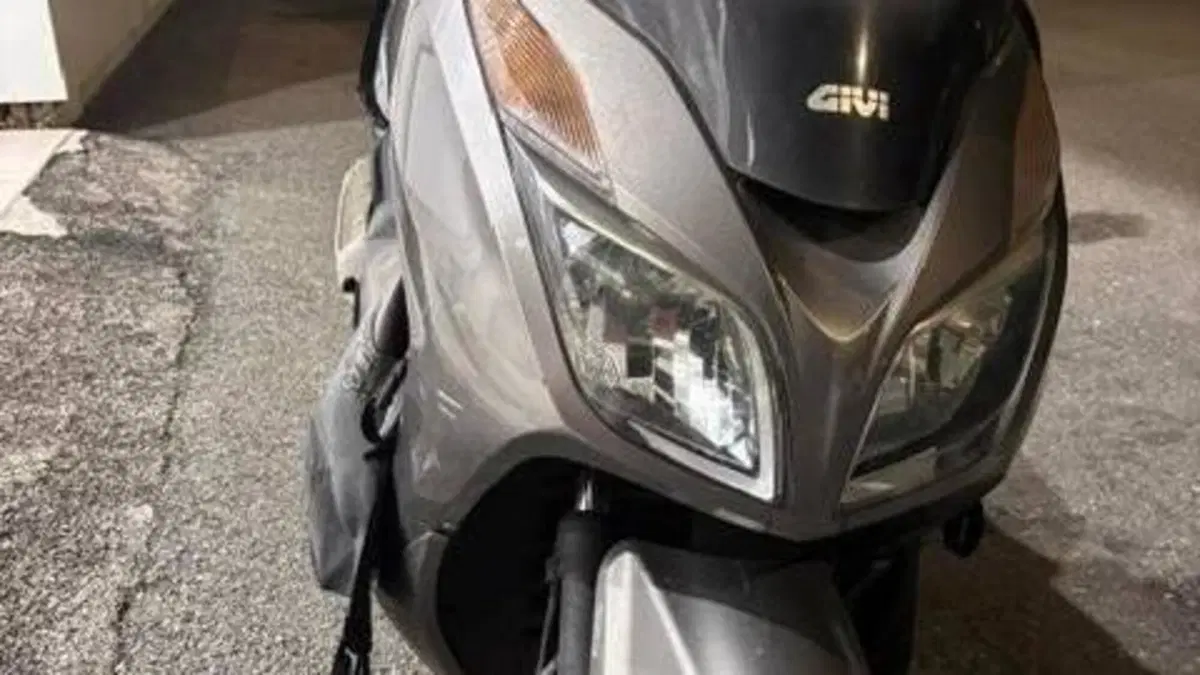 Honda Forza 300 ABS (2013 - 17)  (3)