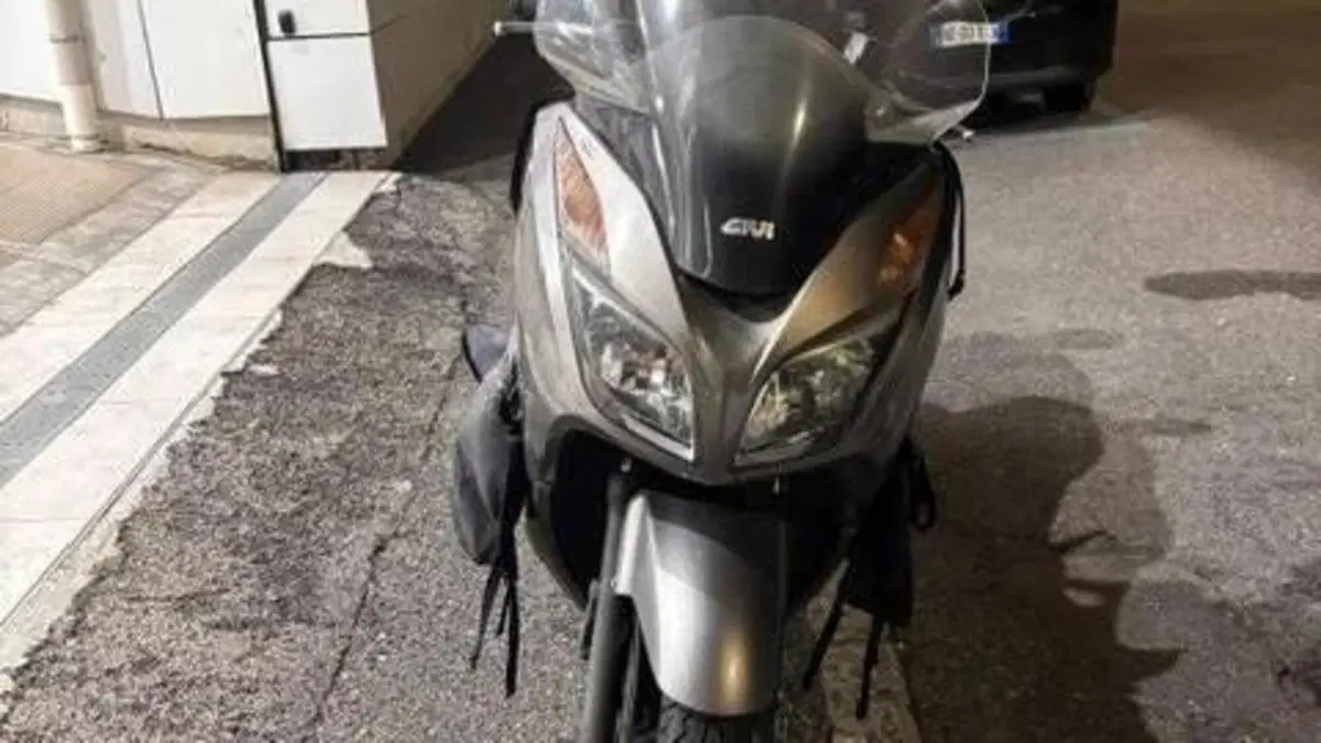 Honda Forza 300 ABS (2013 - 17)  (5)