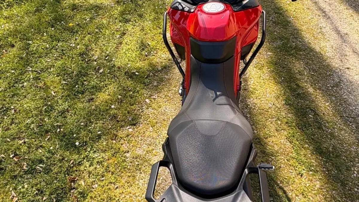 Ducati Multistrada 950 S (2019 - 20)  (3)