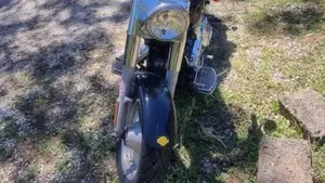 Harley-Davidson 1450 Fat Boy (2003 - 06) - FLSTFI  (3)