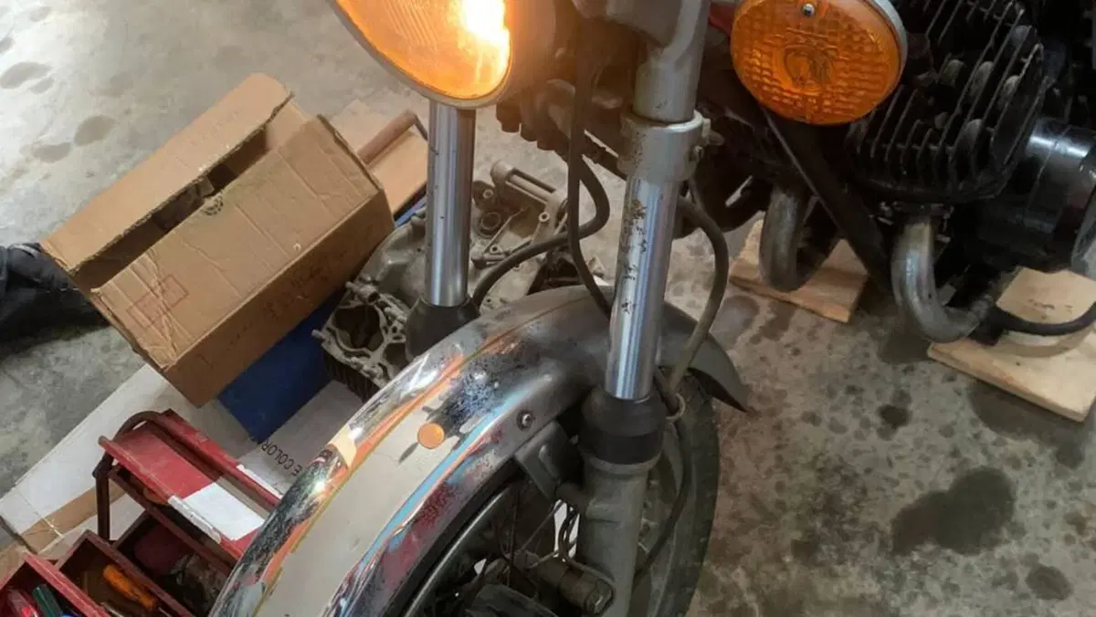Kawasaki   (13)