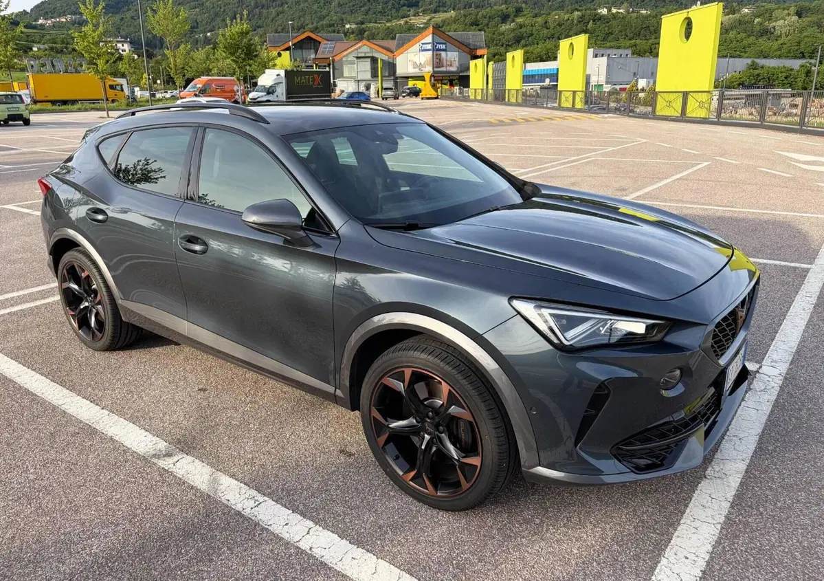 Cupra Formentor Formentor 1.4 e-hybrid VZ 245cv dsg (14)