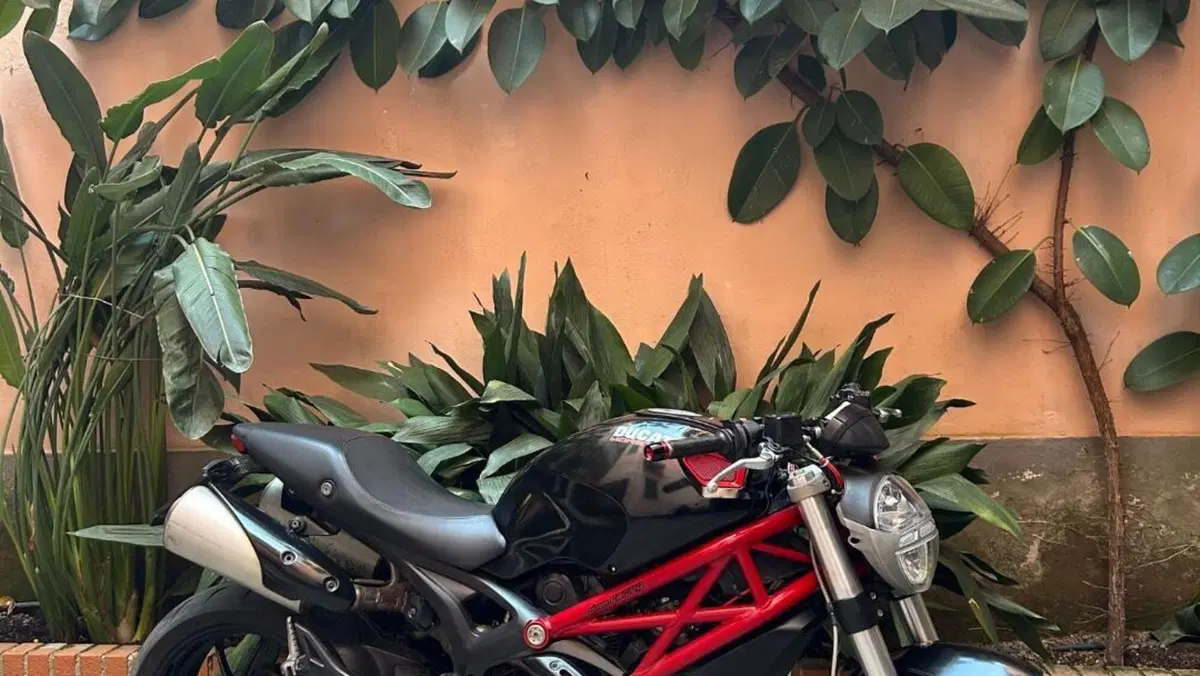 Ducati Monster 796 (2010 - 13)  (2)